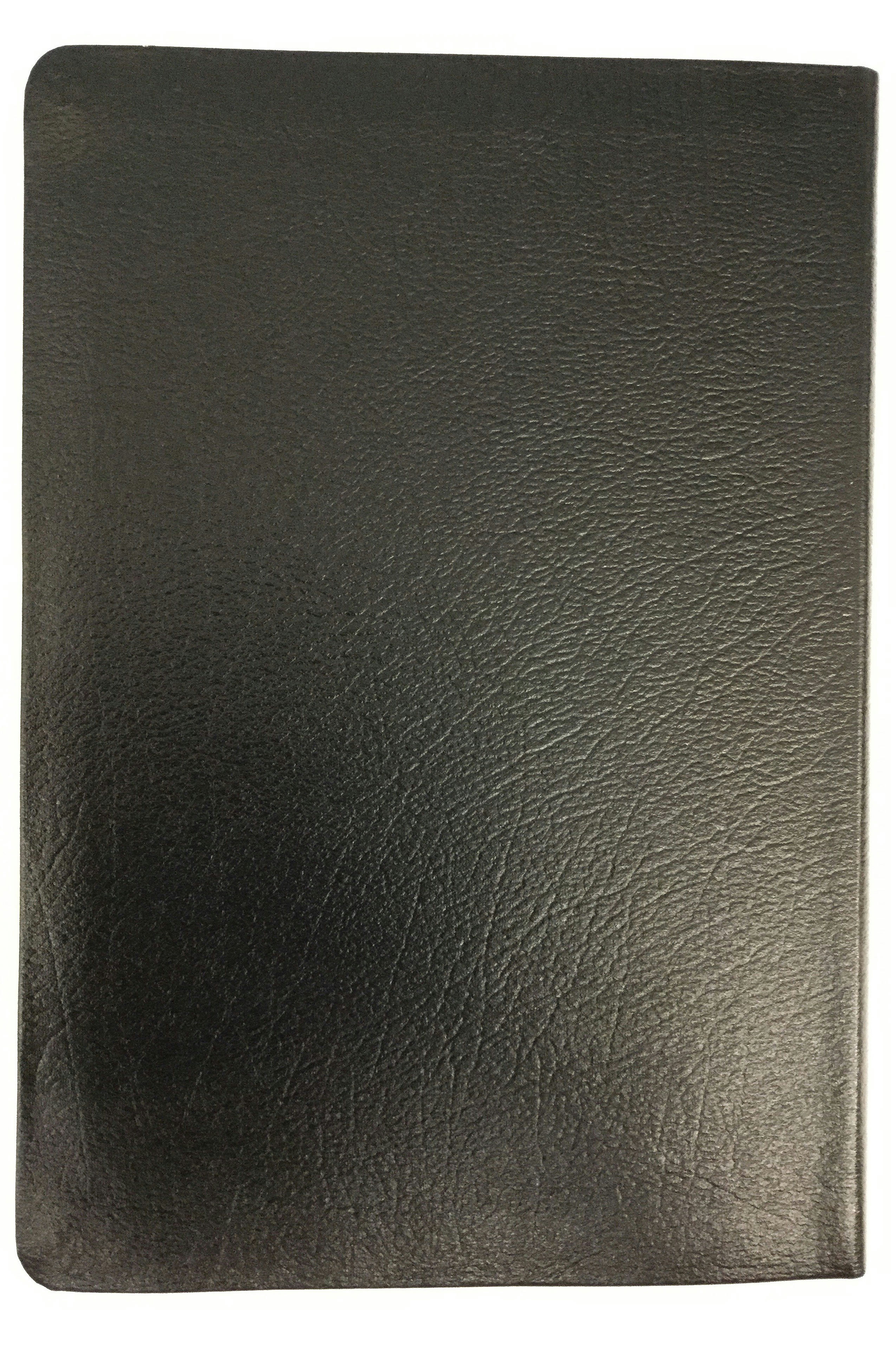 Collections | Museum of the Bible